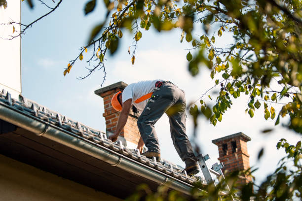 Best Roof Gutter Cleaning  in Midway, FL