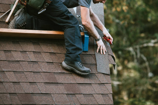 Roof Gutter Cleaning in Midway, FL